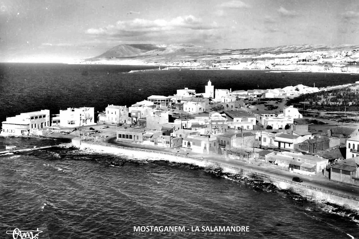 Mostaganem - La Salamandre 2.jpg